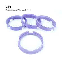 0  Berlin Tires  Z13