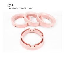 0  Berlin Tires  Z19